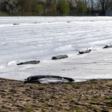 Silage Tarp 5 mil Black/White Plastic Sheeting