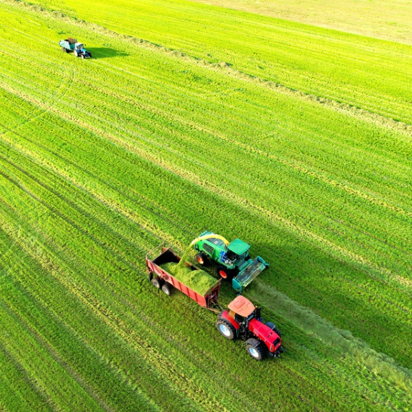 silage tarp Silage Tarp 8 mil Black/White Plastic Sheeting – silagebagsupply.com