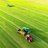 Silage Tarp 8 mil Black/White Plastic Sheeting